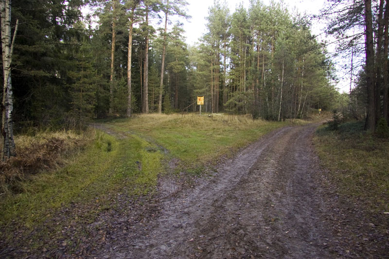 20081103_029