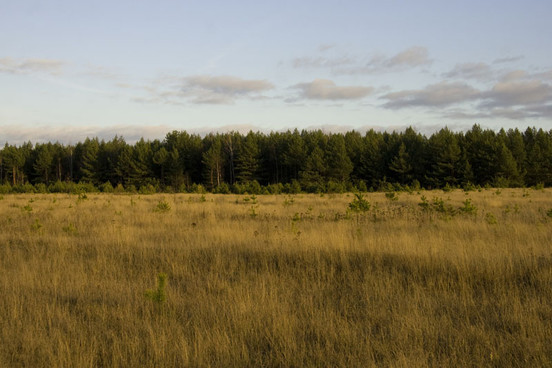 20081104_015