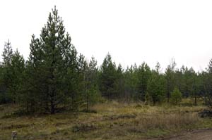 20081102_004