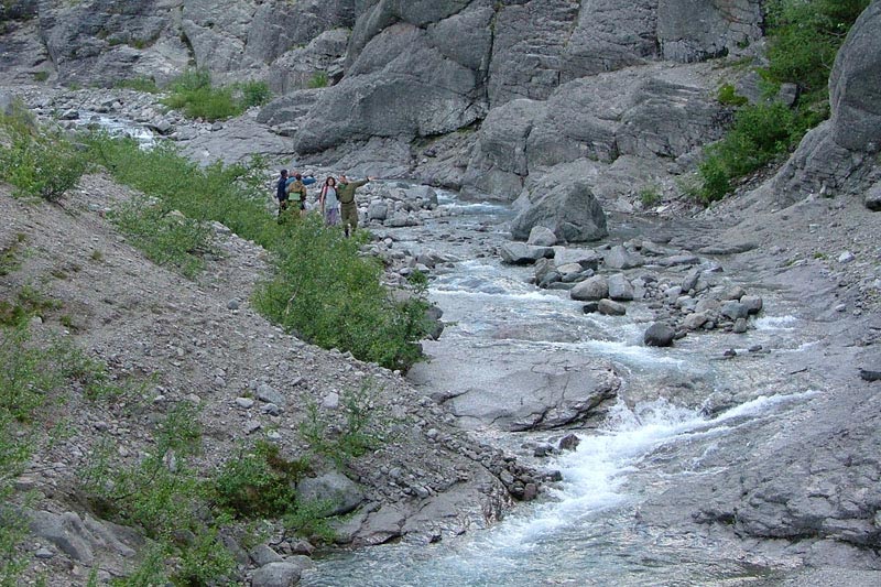 DSCF1654