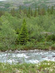 DSCF1530