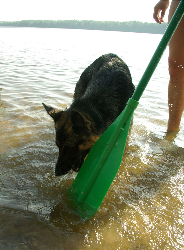 Водный поход, Вуокса, июнь 2009, кадр 128