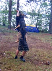 Вуокса июнь 2009. Фото Кречинина. Кадр 77