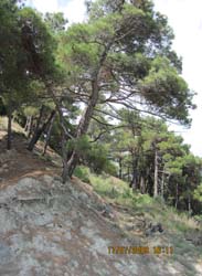 IMG_0669