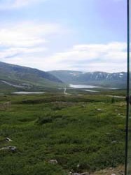 IMG_0101