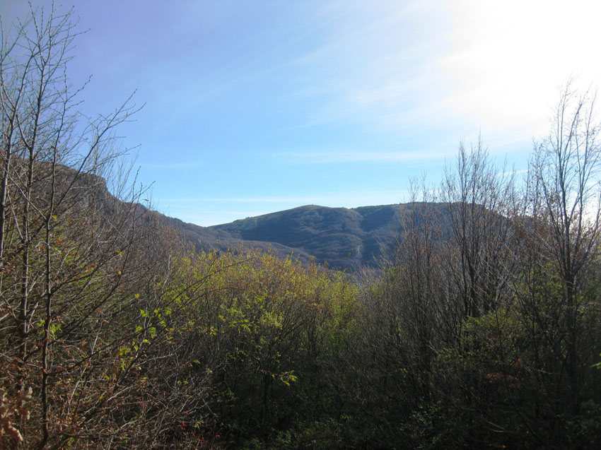  ,  2010.  ,  1926