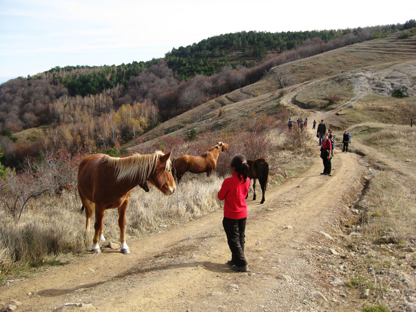 Горный Крым, ноябрь 2010. Фотографии Эдуарда, кадр 2011