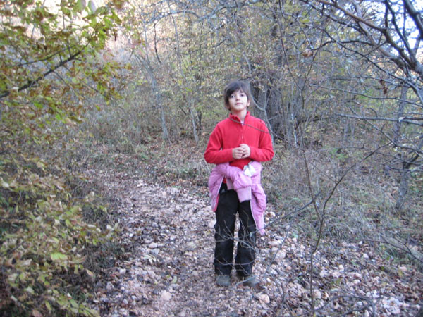 Горный Крым, ноябрь 2010. Фотографии Галины, кадр 038