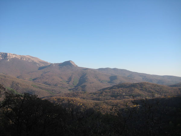  ,  2010.  ,  044