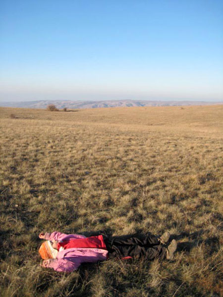  ,  2010.  ,  057