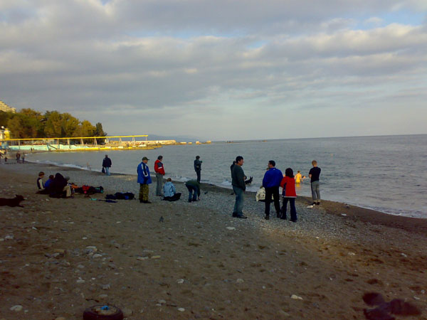  ,  2010.  ,  073