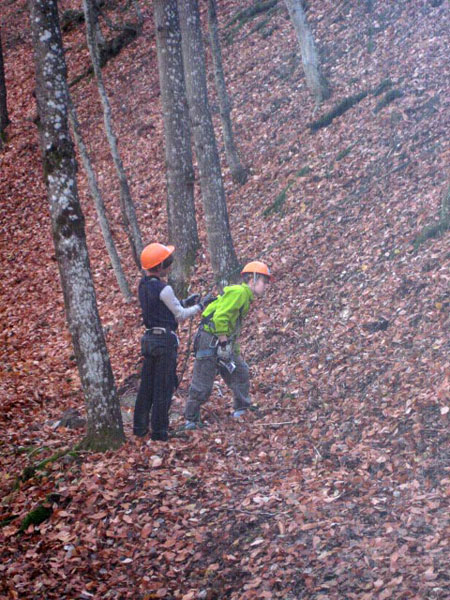 Горный Крым, ноябрь 2010. Фотографии Галины, кадр 141