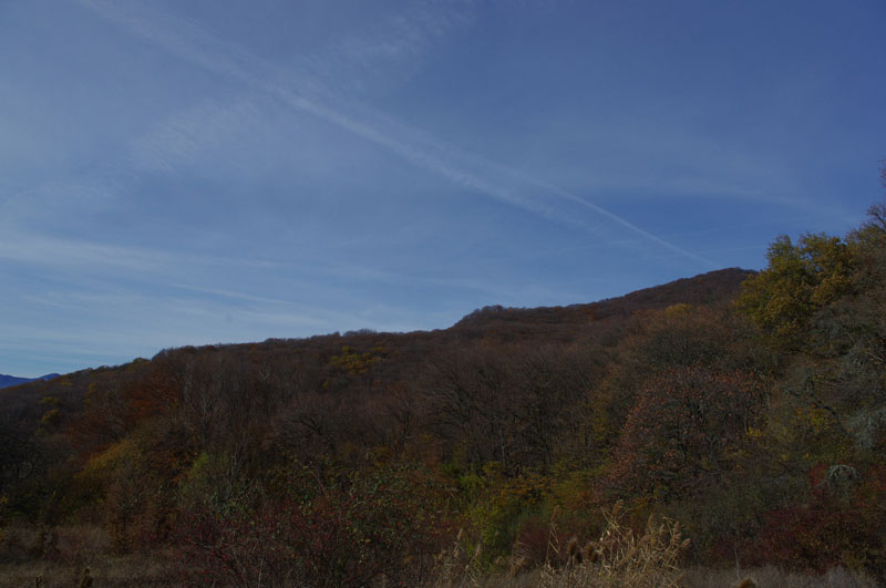 ,  2010.   ,  0994