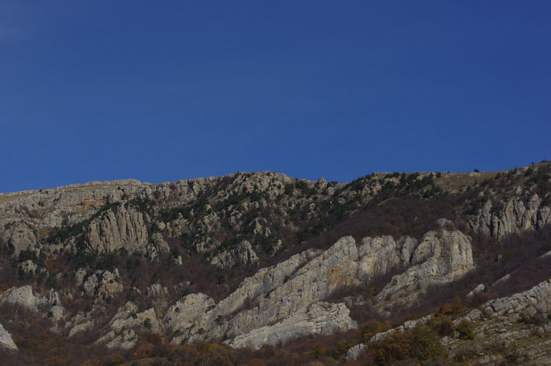 ,  2010.   ,  1064