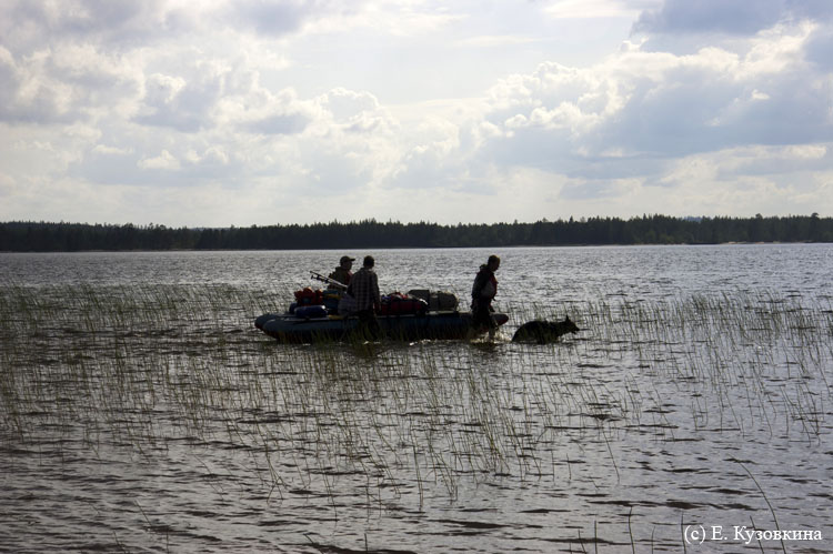 Карелия, июль 2011. Водный поход 3-й кат., р. Муезерка - р. Чирко-Кемь. Фото Е. Кузовкиной, кадр 304
