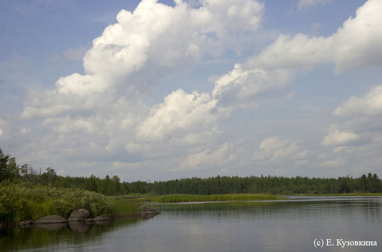 Карелия, июль 2011. Водный поход 3-й кат., р. Муезерка - р. Чирко-Кемь. Фото Е. Кузовкиной, кадр 352