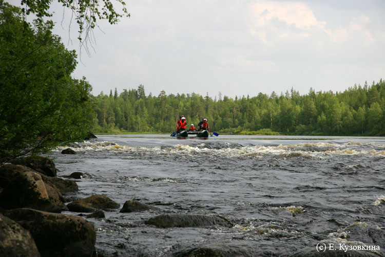 Карелия, июль 2011. Водный поход 3-й кат., р. Муезерка - р. Чирко-Кемь. Фото Е. Кузовкиной, кадр 445