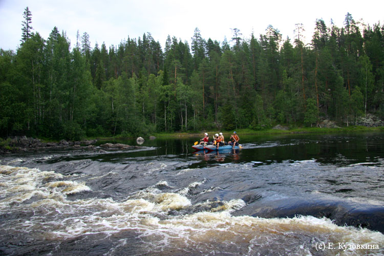 Карелия, июль 2011. Водный поход 3-й кат., р. Муезерка - р. Чирко-Кемь. Фото Е. Кузовкиной, кадр 542