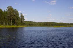 ,  2011.   3- ., .  - . -.  . ,  264