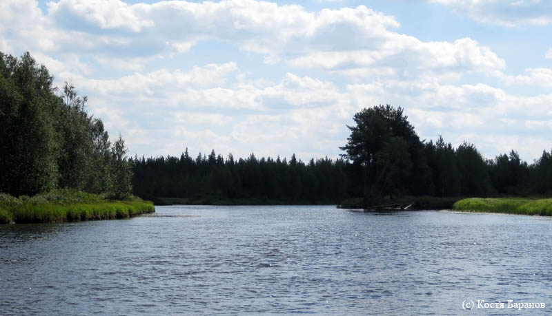 Карелия, июль 2011. Водный поход 3-й кат., р. Муезерка - р. Чирко-Кемь. Фото К. Баранова, кадр 0820