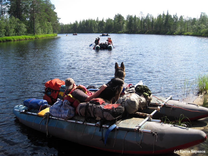 Карелия, июль 2011. Водный поход 3-й кат., р. Муезерка - р. Чирко-Кемь. Фото К. Баранова, кадр 0841