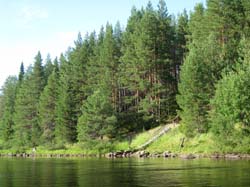 Карелия, июль 2011. Водный поход 3-й кат., р. Муезерка - р. Чирко-Кемь. Фото К. Баранова, кадр 0927