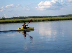 Карелия, июль 2011. Водный поход 3-й кат., р. Муезерка - р. Чирко-Кемь. Фото К. Баранова, кадр 0934