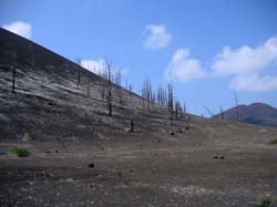 Камчатка, август 2011. Фото Александра Кречинина, кадр a0148