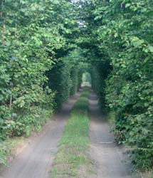 Камчатка, август 2011. Фото Александра Кречинина, кадр a0188