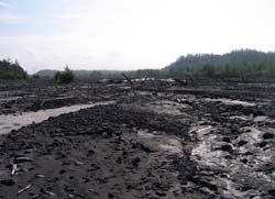 Камчатка, август 2011. Фото Александра Кречинина, кадр a0193