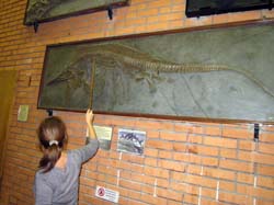 20 ноября 2011. Тренировка в Ясенево и посещение Палеонтологического музея, кадр 56