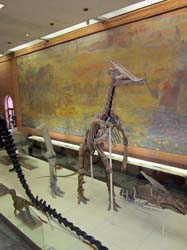 20 ноября 2011. Тренировка в Ясенево и посещение Палеонтологического музея, кадр 61