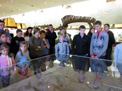 20 ноября 2011. Тренировка в Ясенево и посещение Палеонтологического музея, кадр 76