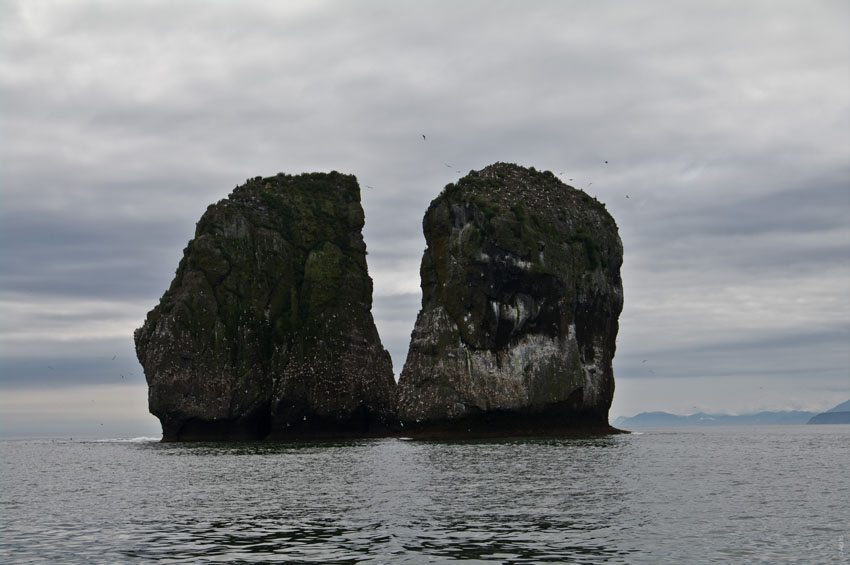 Камчатка, август 2011. Фото Дмитрия Тихоненко, кадр 6407