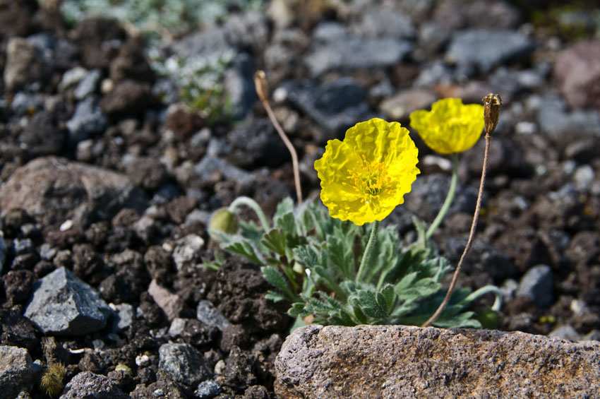 ,  2011.   ,  7180