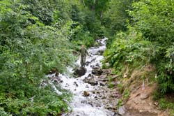 Камчатка, август 2011. Фото Дмитрия Тихоненко, кадр 6061