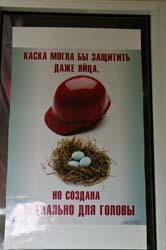Камчатка, август 2011. Фото Дмитрия Тихоненко, кадр 6104
