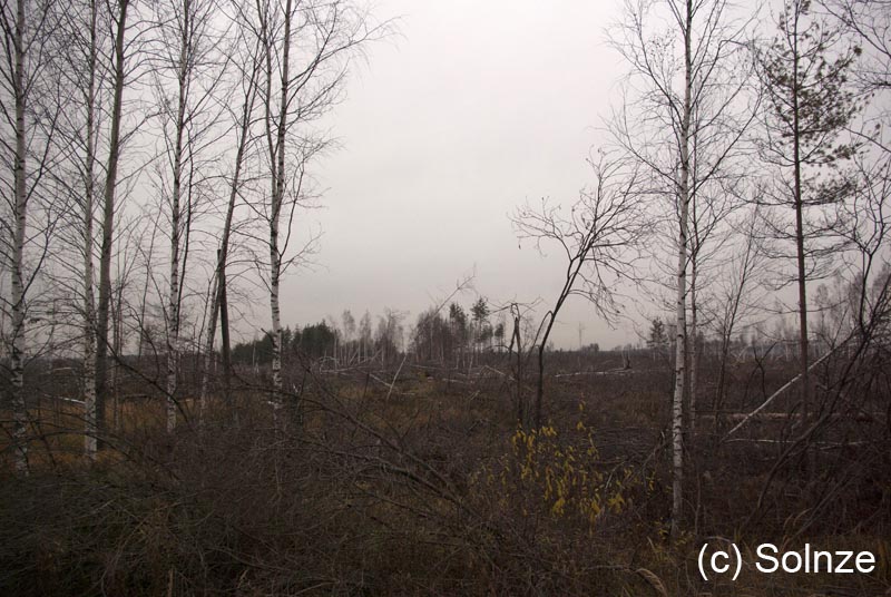 Ноябрь 2011. Поход в Подмосковье по маршруту Покров. Фотографии ИБ, кадр 3019