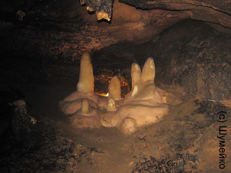   , 2012.  ,  5858