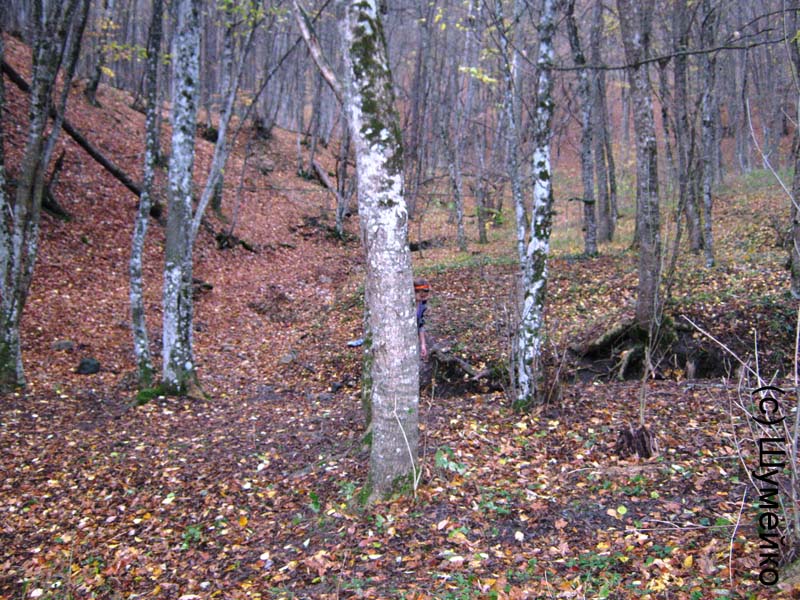 Поездка в Крым, ноябрь2012. Фотографии Шумейко, кадр 5885