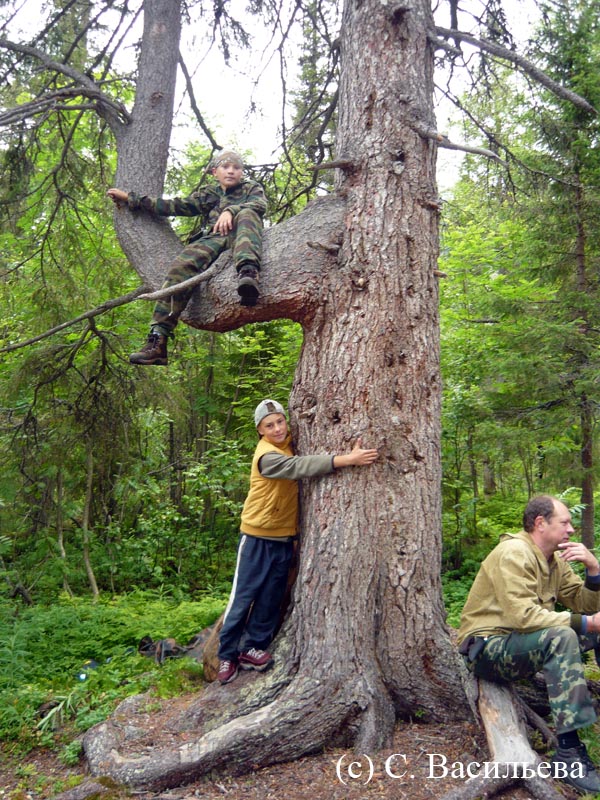 Поход по Кольскому полуострову, август 2012. Фотографии Светланы Васильевой, кадр 239