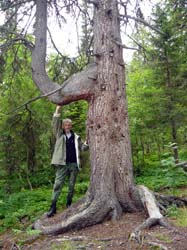 Поход по Кольскому полуострову, август 2012. Фотографии Светланы Васильевой, кадр 235