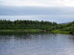 Поход по рекам Тунтсайоки и Тумча, июль 2013. Фотографии Екатерины Кузовкиной, кадр 0832