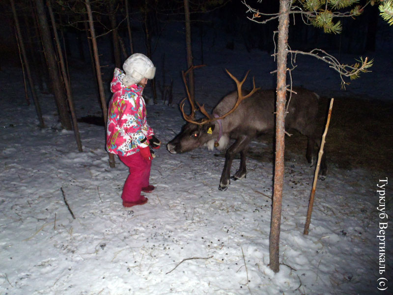 Зимний лагерь в Мончегорске. Декабрь 2013 - Январь 2014. Фото Сергея Подергина, кадр 348