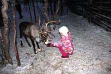 Зимний лагерь в Мончегорске. Декабрь 2013 - Январь 2014. Фото Ильи Шеина, кадр 1118
