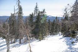 Лыжный поход Таганай. Март 2015. Фотографии Ирины Большаковой, кадр 330