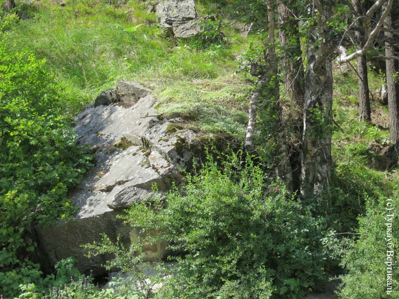 Поход по Приэльбрусью в июле 2015. Фото Семьи Гариных - Дорожкиных, кадр 2325