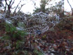 Поход по пещерным городам Крыма, ноябрь 2015. Фотографии Ани, кадр 6019