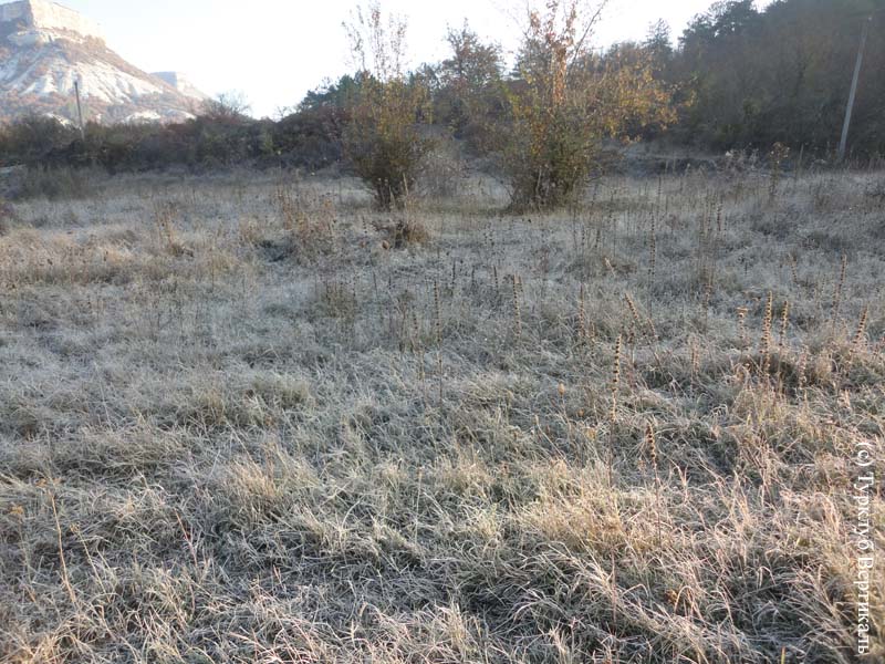 Поход по пещерным городам Крыма, ноябрь 2015. Фотографии Светланы Васильевой, кадр 851