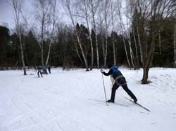 Лыжная тренировка на Весенней. 7 февраля 2016, кадр 36
